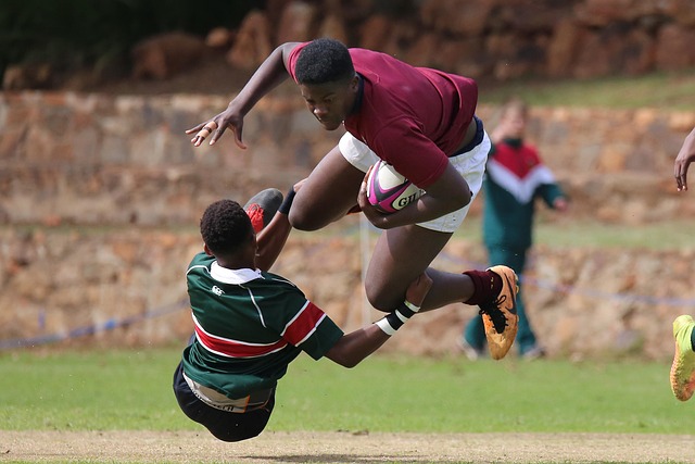 带来的不仅 带来的不仅